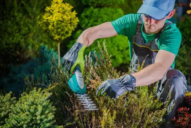 landscaping services Ubly